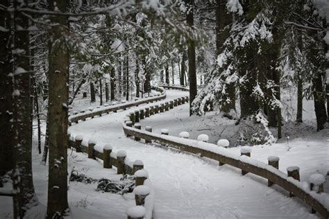 Padomju bunkurs, dabas takas, Vienkoču parks un citas vietas.